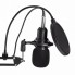 Студийный микрофон Music D.J. M800 со стойкой и ветрозащитой Black