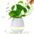 Умный цветочный горшок колонка Smart Music Flowerpot с музыкой Белый